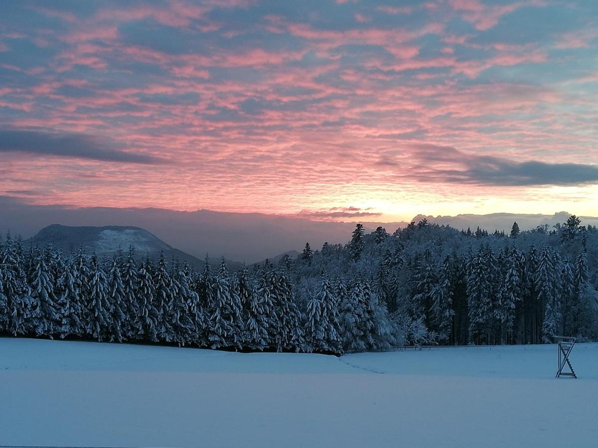 Вилла Domaine De Siane Plaine Экстерьер фото