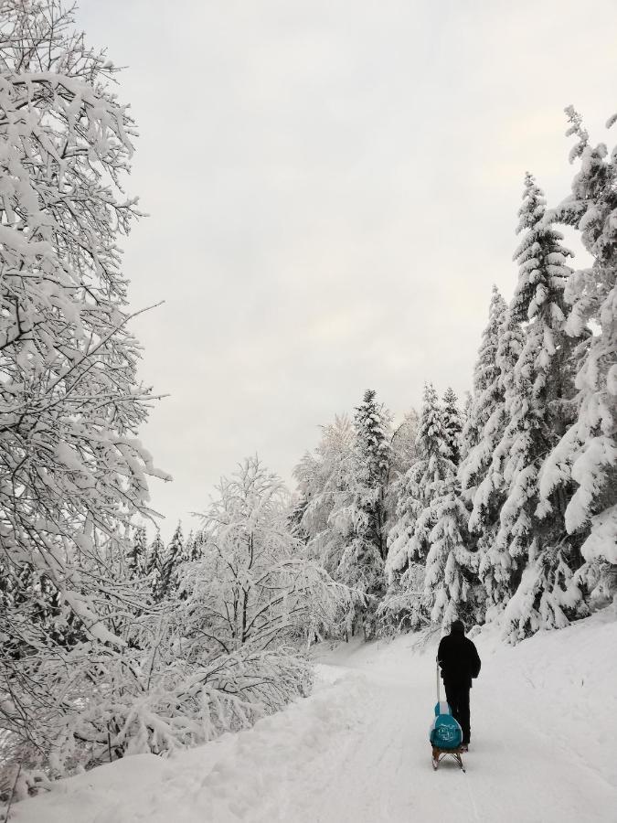 Вилла Domaine De Siane Plaine Экстерьер фото